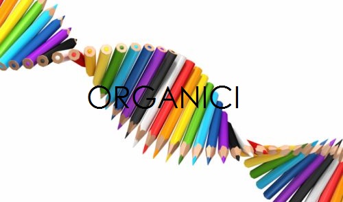 PROSPETTO ORGANICI DS A.S. 2010/2021